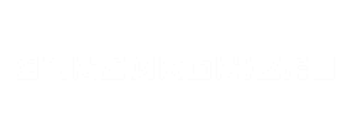 Synergy_Logos01 (2)